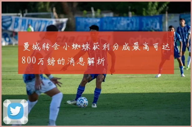 曼城转会小蜘蛛获利分成最高可达800万镑的消息解析