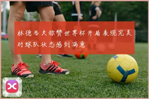 林德洛夫称赞世界杯开局表现完美对球队状态感到满意