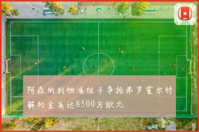 阿森纳利物浦纽卡争抢弗罗霍尔特解约金高达8500万欧元